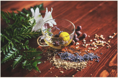 A glass mug with herbs in the water, surrounded by herbs, grains, and plants used for herbal medicine.